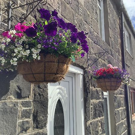 The Garden Flat Apartment Crieff Exterior foto